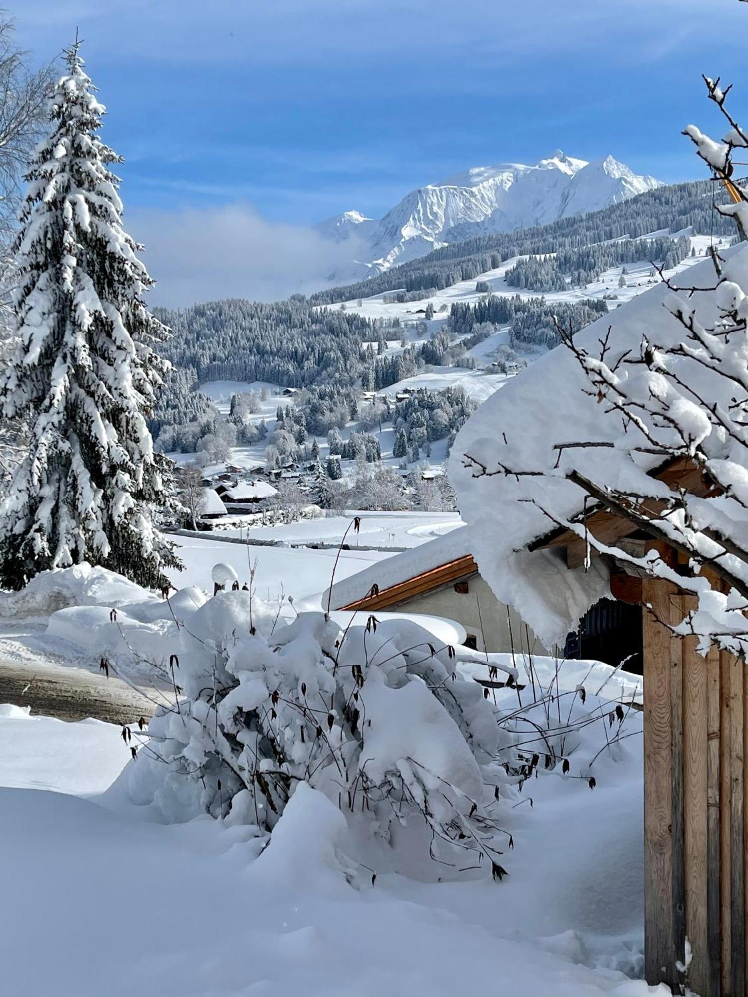 A Megeve-vauvray - Grands , Vue Mont Blanc Demi-Quartier