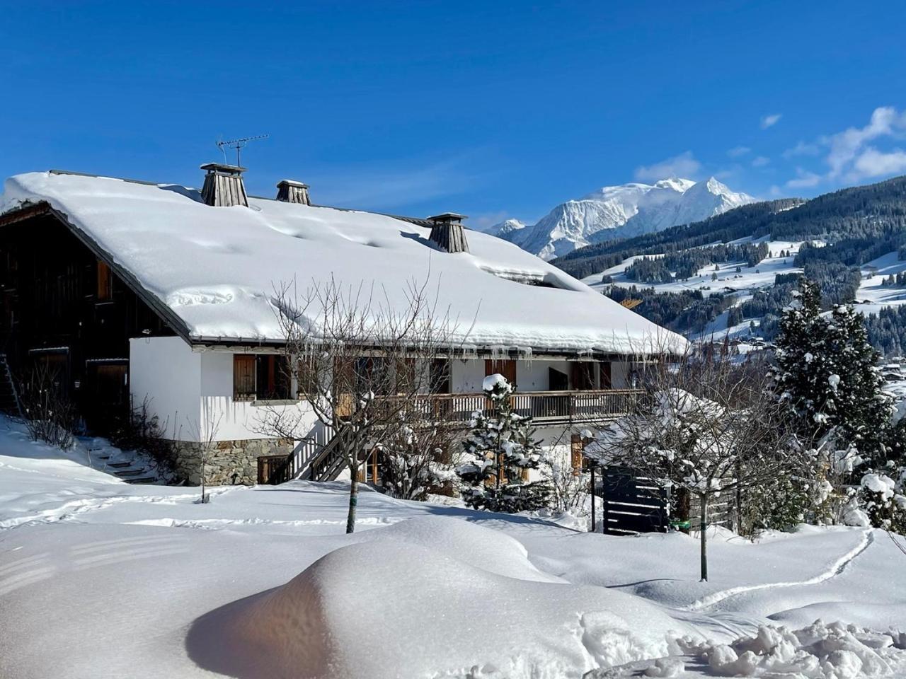 A Megeve-vauvray - Grands , Vue Mont Blanc Apartment *