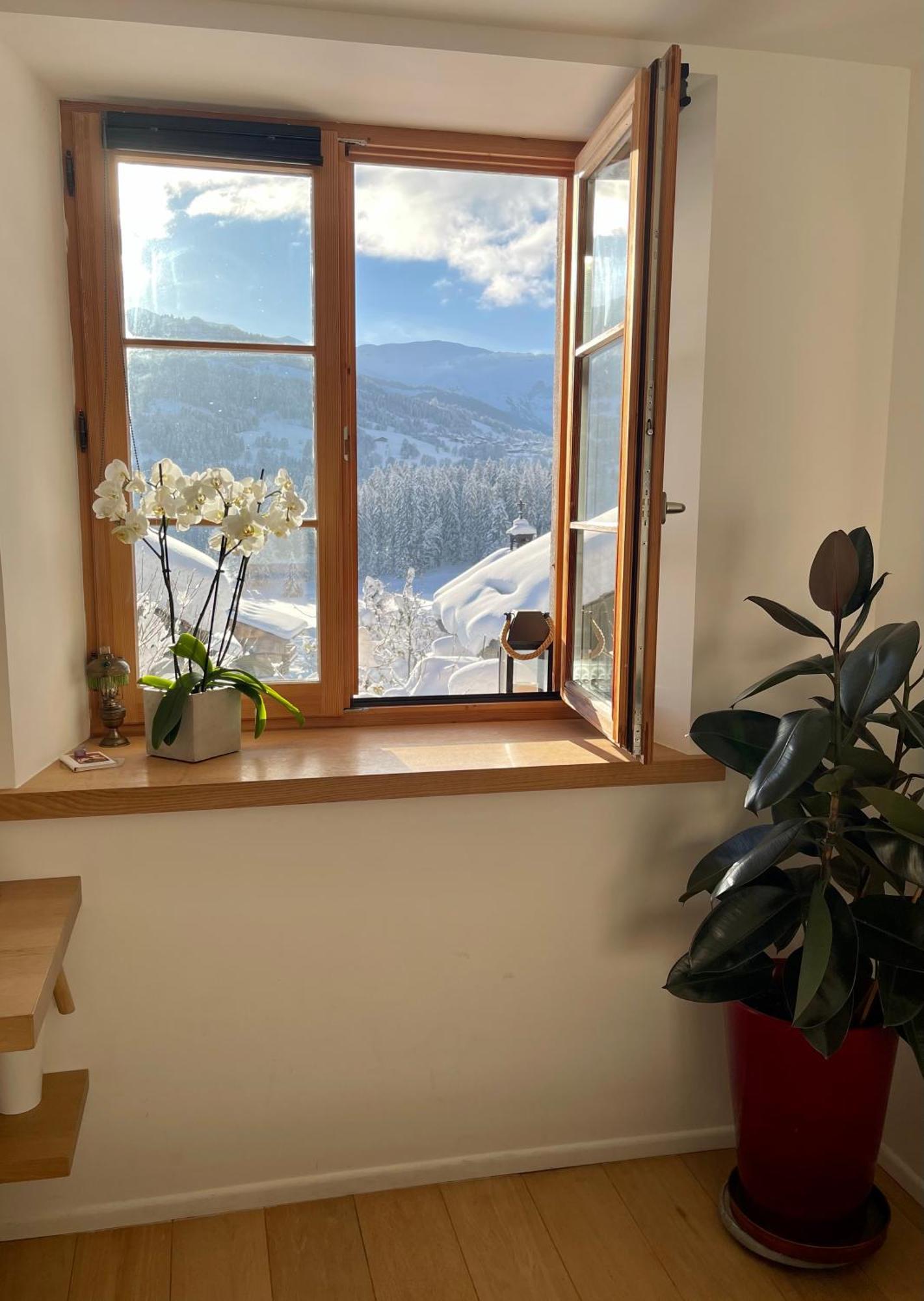 A Megeve-vauvray - Grands , Vue Mont Blanc * Demi-Quartier