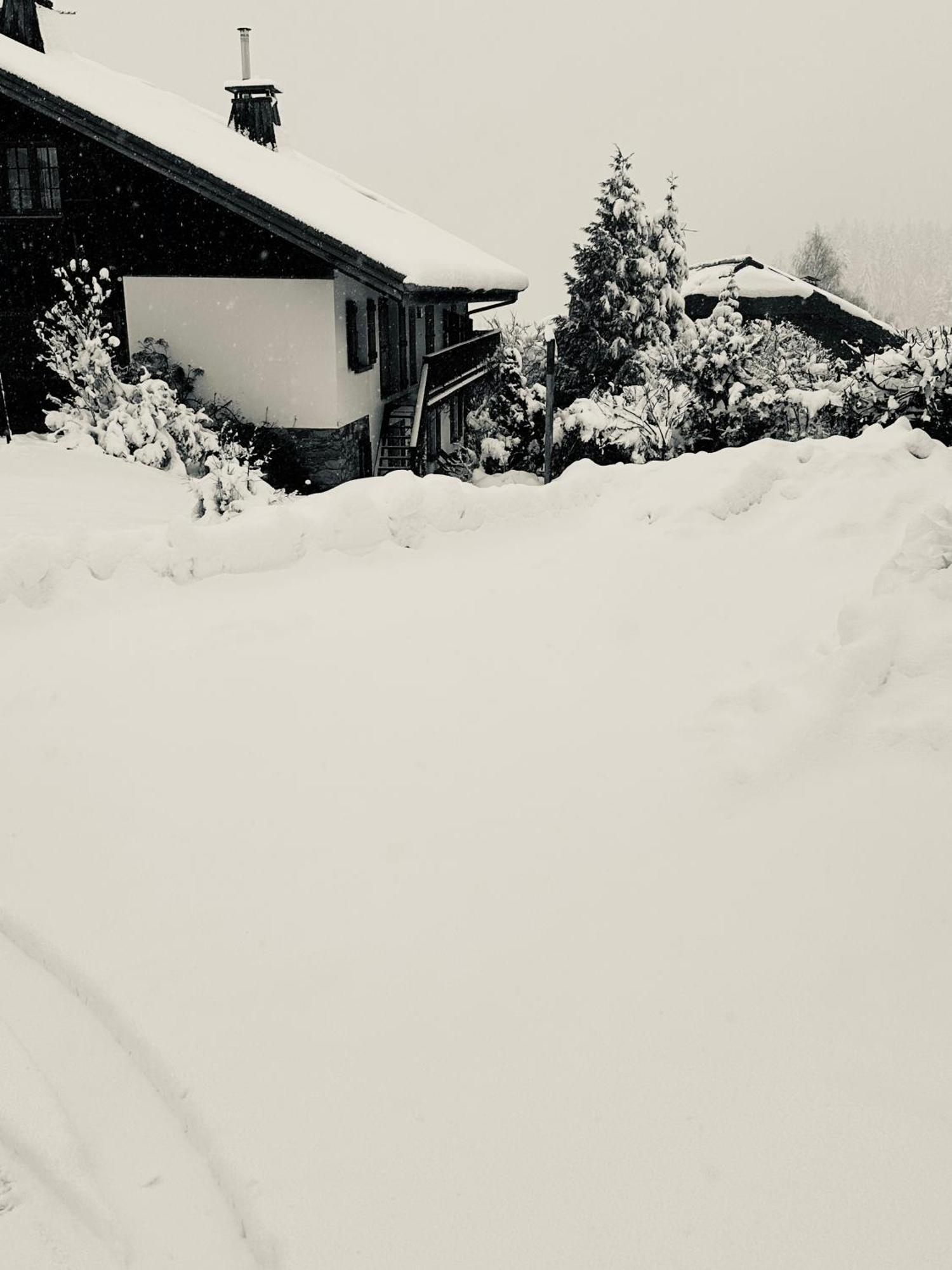 A Megeve-vauvray - Grands , Vue Mont Blanc Demi-Quartier