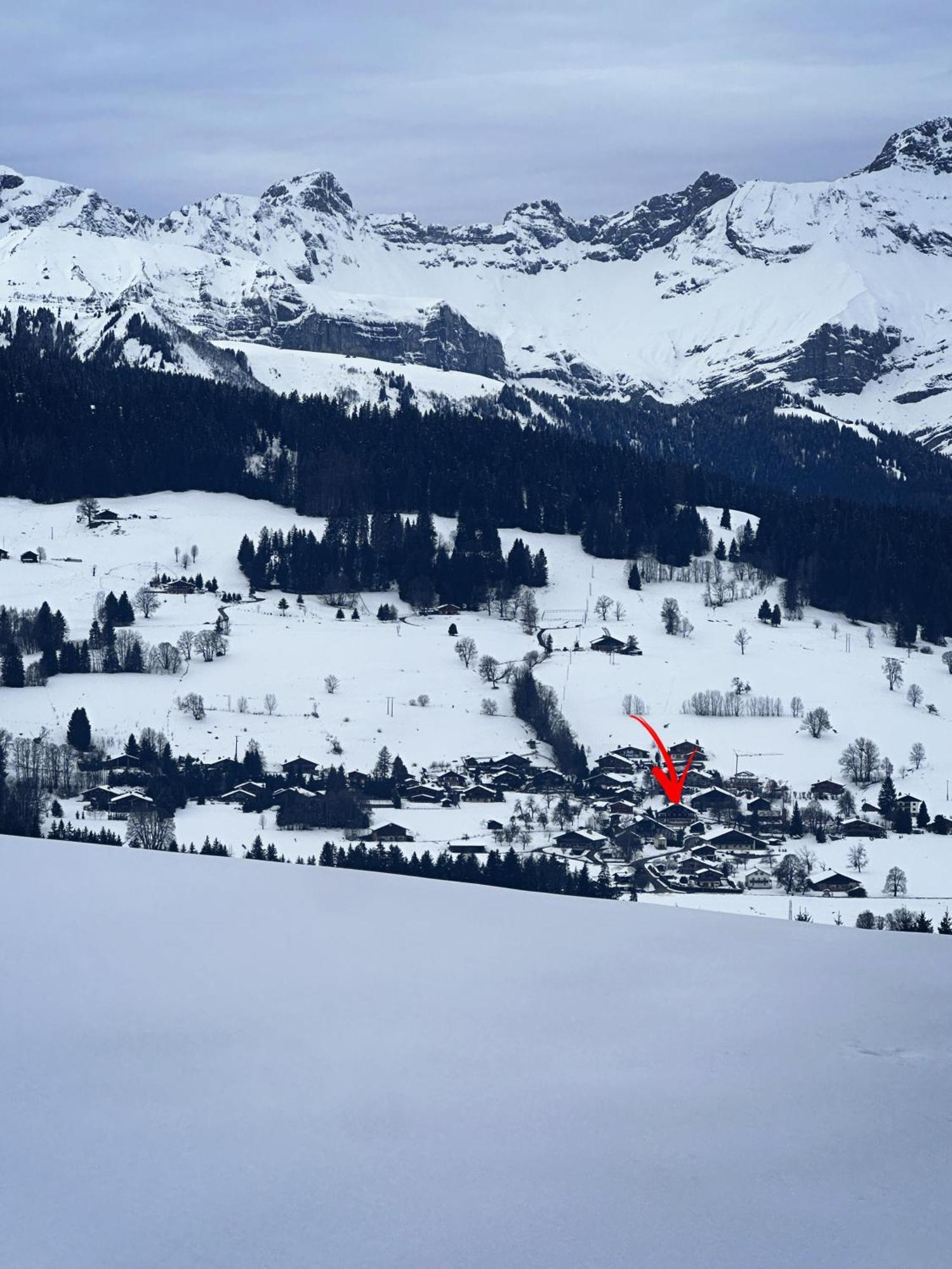 A Megeve-vauvray - Grands , Vue Mont Blanc *